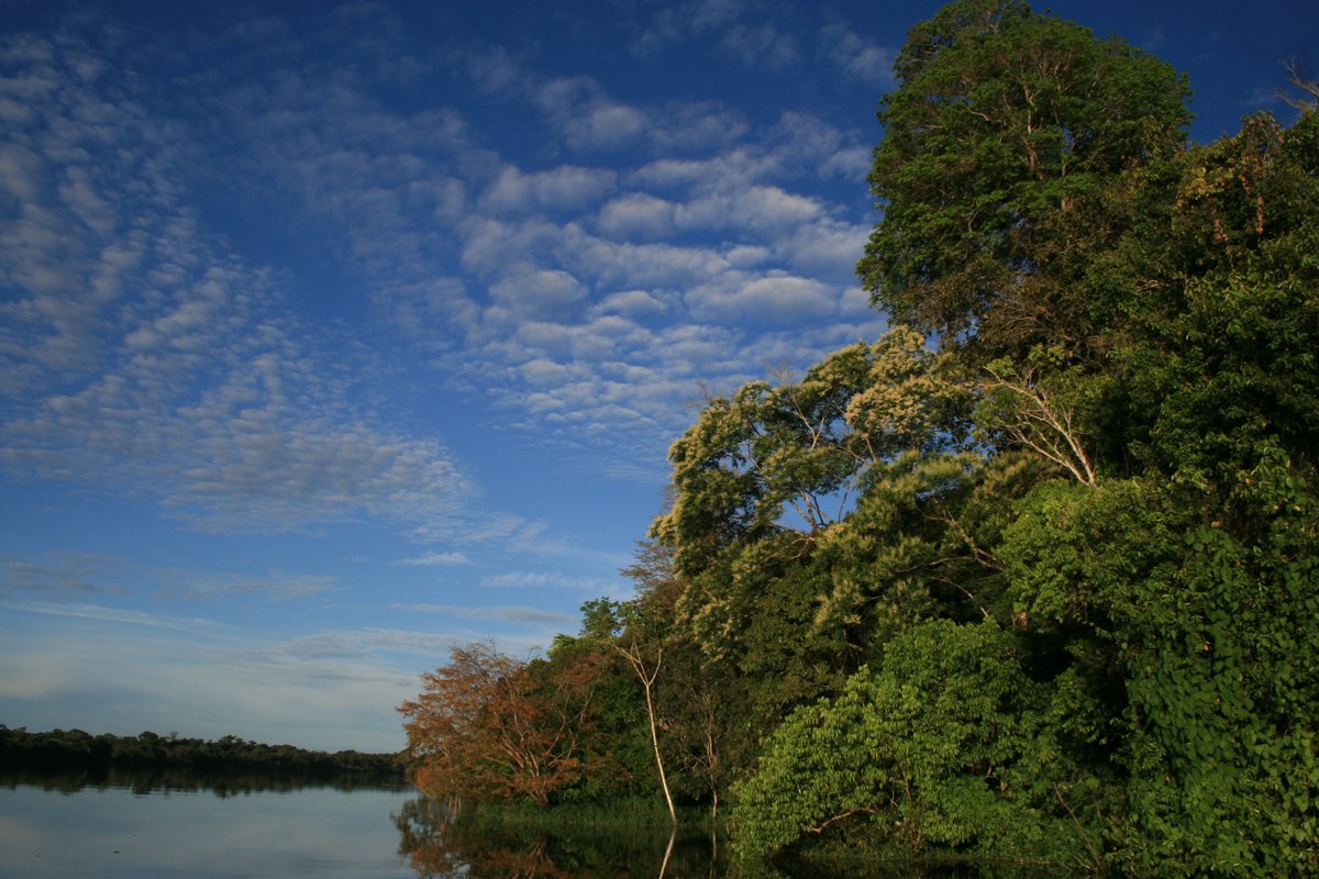 No dia 5 de fevereiro, a #UFPA sediará o evento Ciência e Vozes da Amazônia na COP30! 
Uma oportunidade para fortalecer a ciência amazônica e debater caminhos para um futuro sustentável.
Local: UFPA, Belém-PA
Data: 05/02/2025
ufpa.br/universidade-f…
#Amazônia #CiênciaNaCOP30
