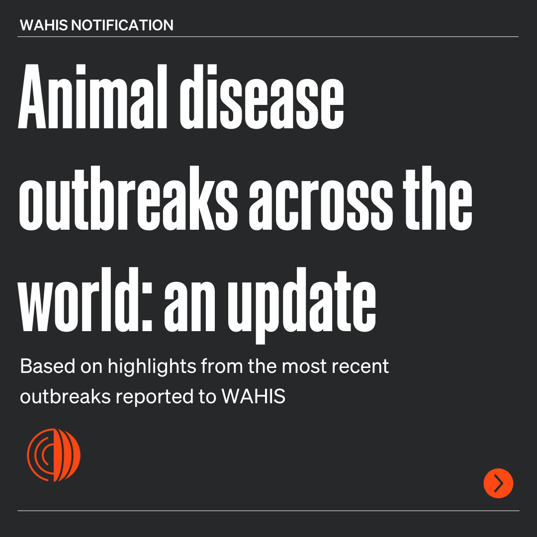WOAH's tweet photo. We bring you the highlights from the latest update of #animal outbreaks across the world, directly from #WAHIS.