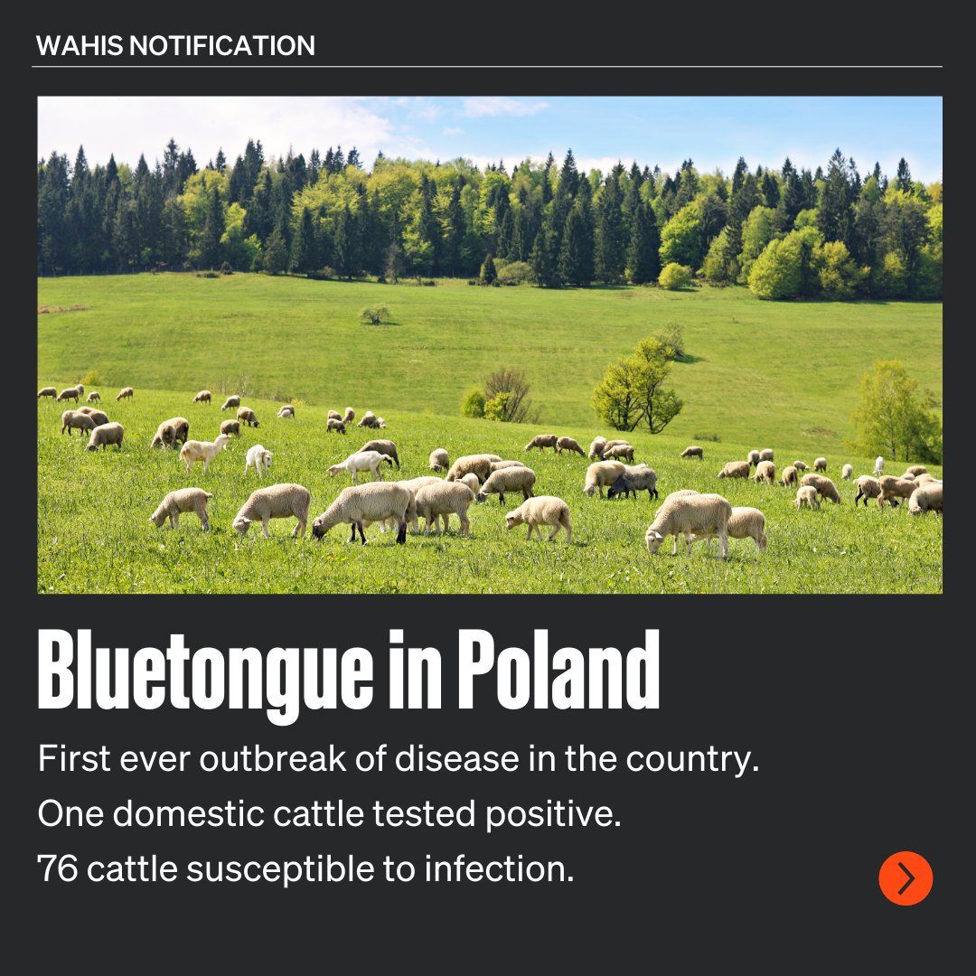 WOAH's tweet photo. We bring you the highlights from the latest update of #animal outbreaks across the world, directly from #WAHIS.
