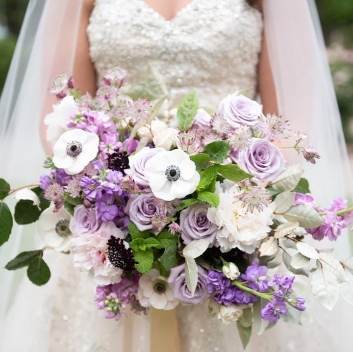 WedBrilliant's tweet photo. Couples, meet your dream team of wedding vendors. Vendors, meet couples who need your expertise. WedBrilliant makes the magic happen!
#WeddingPlanning #StressFreeWedding #WeddingVendors #BrilliantChoices #WeddingGoals #DreamWedding #PlanWithEase #WedBrilliant https://t.co/usDWtKn00o