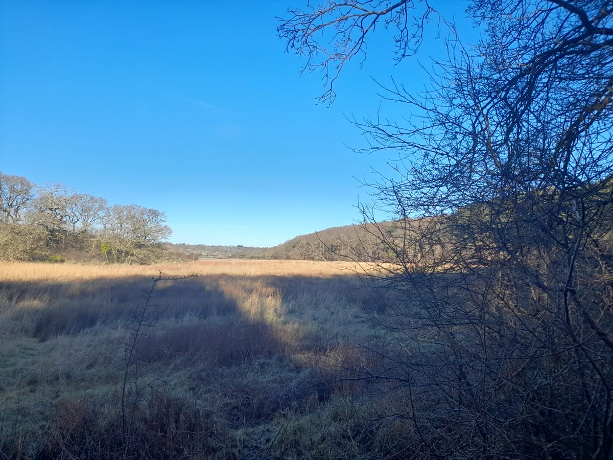 Isle of Wight National Landscape tweet media