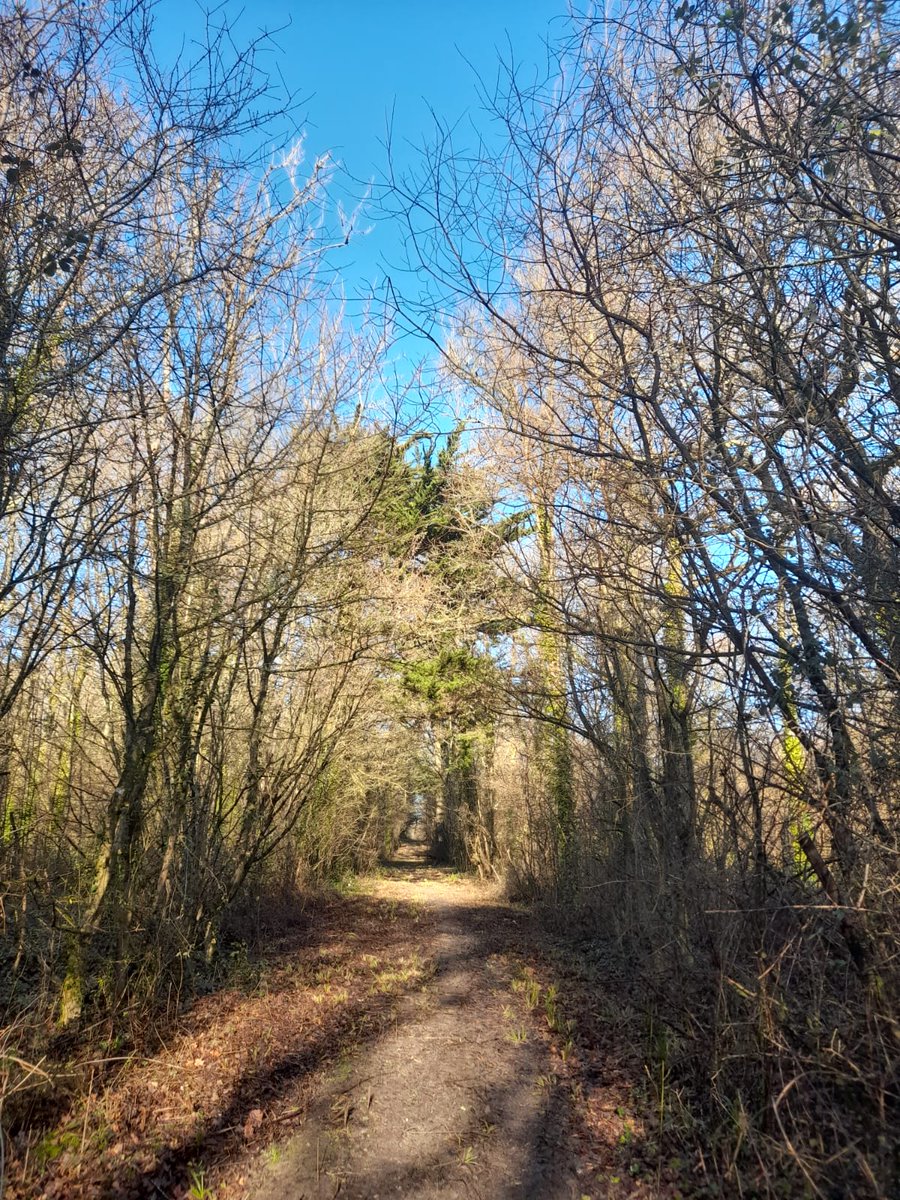 Isle of Wight National Landscape tweet media