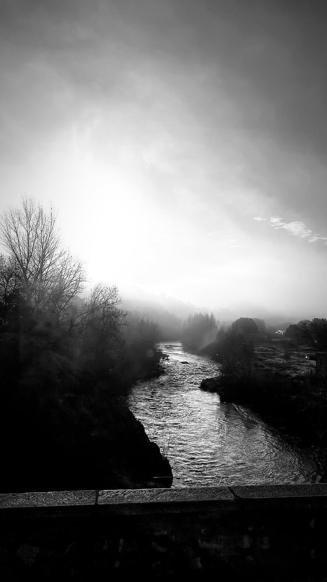 Estel Bastia tweet media