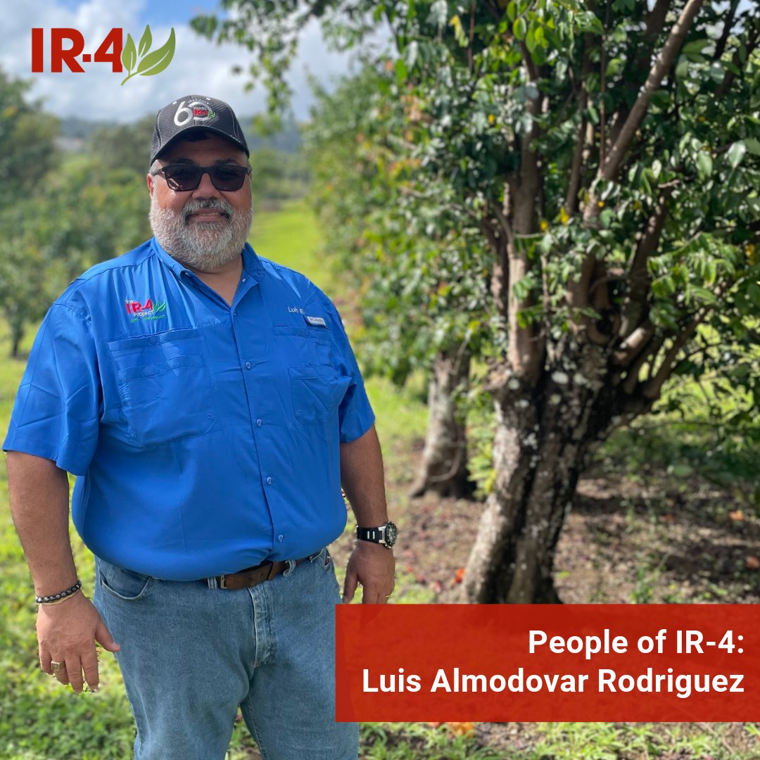 IR4_Project's tweet photo. Learn more about IR-4 teammate Luis Almodóvar in our latest #PeopleOfIR4 story by Raven E. Baez! Luis is an FRD for IR-4 at UPR Mayaguez researching #pestmanagement for tropical #specialtycrops. @PrensaRUM

https://t.co/txRZxvTd5a

#ir4project #puertoricanag #urpm https://t.co/wLBw4s72Vg