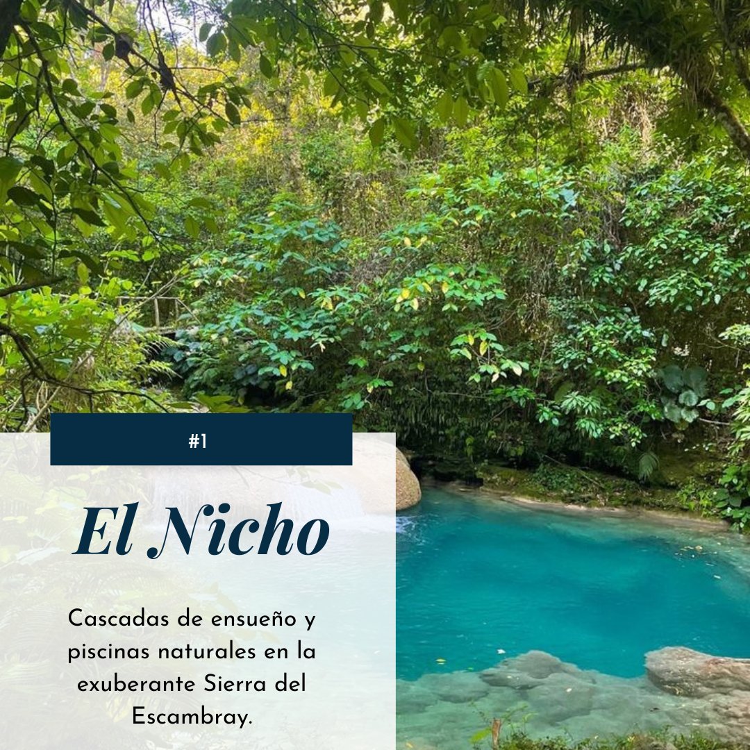Vinales_Tours's tweet photo. Descubre de #ElNicho, las verdes maravillas de #Viñales y las impresionantes playas de #Varadero. Cada destino te ofrece una experiencia única y fascinante. ¡Aventúrate con nosotros y crea recuerdos inolvidables en la isla más bella del Caribe!
#ViñalesTours #Cuba https://t.co/vrdcPwRtEr