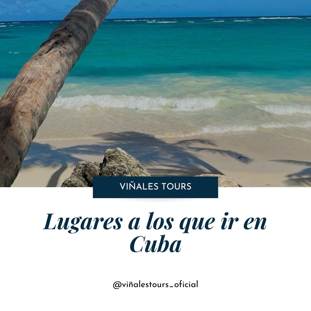 Vinales_Tours's tweet photo. Descubre de #ElNicho, las verdes maravillas de #Viñales y las impresionantes playas de #Varadero. Cada destino te ofrece una experiencia única y fascinante. ¡Aventúrate con nosotros y crea recuerdos inolvidables en la isla más bella del Caribe!
#ViñalesTours #Cuba https://t.co/vrdcPwRtEr