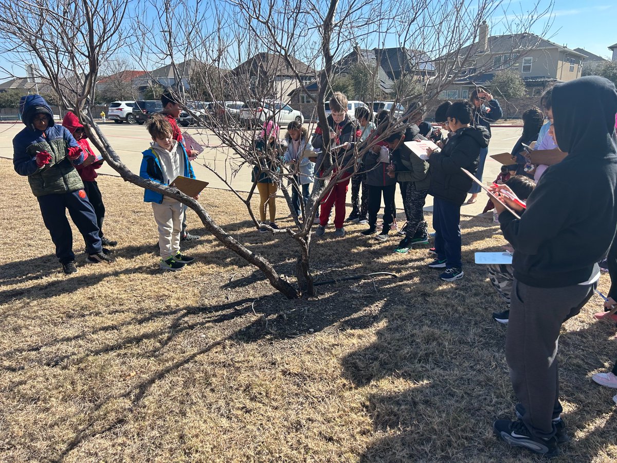 +Our third graders took a "Rock Walk," exploring and identifying rocks to bring their natural resources unit to life. Hands-on learning is rock-solid fun at Talley Elementary!