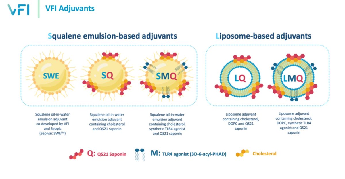 infdisease_news's tweet image. 💉 Scientists at @UniofOxford evaluated the immunogenicity and efficacy of the promising #mycobacterial antigen PPE15, formulated with five adjuvants developed by the #Vaccine Formulation Institute.

🔓 @SciReports | go.nature.com/4gh4FYk