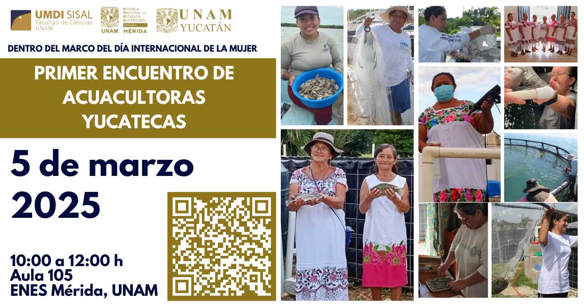 Conversatorio con protagonistas de la #acuacultura en #Yucatan: participación de las mujeres en esta importante actividad económica que impacta a todos los sectores del desarrollo sustentable. 5/03/25 de 10:00 a 12:00 en Aula 105 <a href="/ENES_Merida/">ENES MÉRIDA UNAM</a>  
yucatan.unam.mx/primer-encuent…