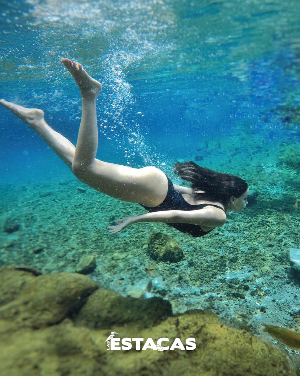 ✨ Sumérgete en un mundo donde todo se detiene.

El agua cristalina te invita a conectar contigo y con la naturaleza. 🌊🌿

#LasEstacas #RíoCristalino #ConexiónNatural #ParqueNatural #TurismoMorelos