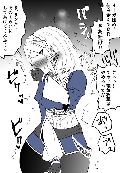 非人道な行為に耐えられなくなってしまったゼルダ様 