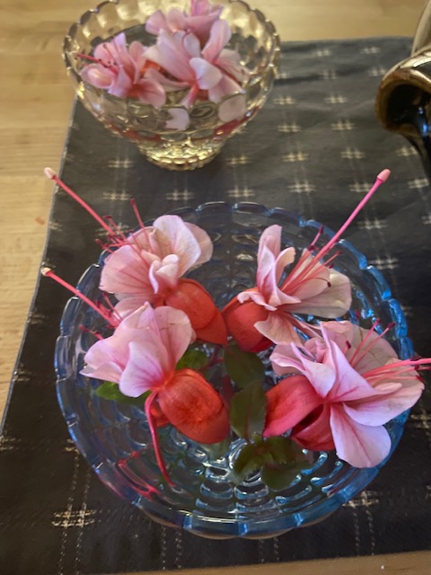 I plucked some fuchsia flowers from the greenhouse and I suddenly got this sensation of summer.
