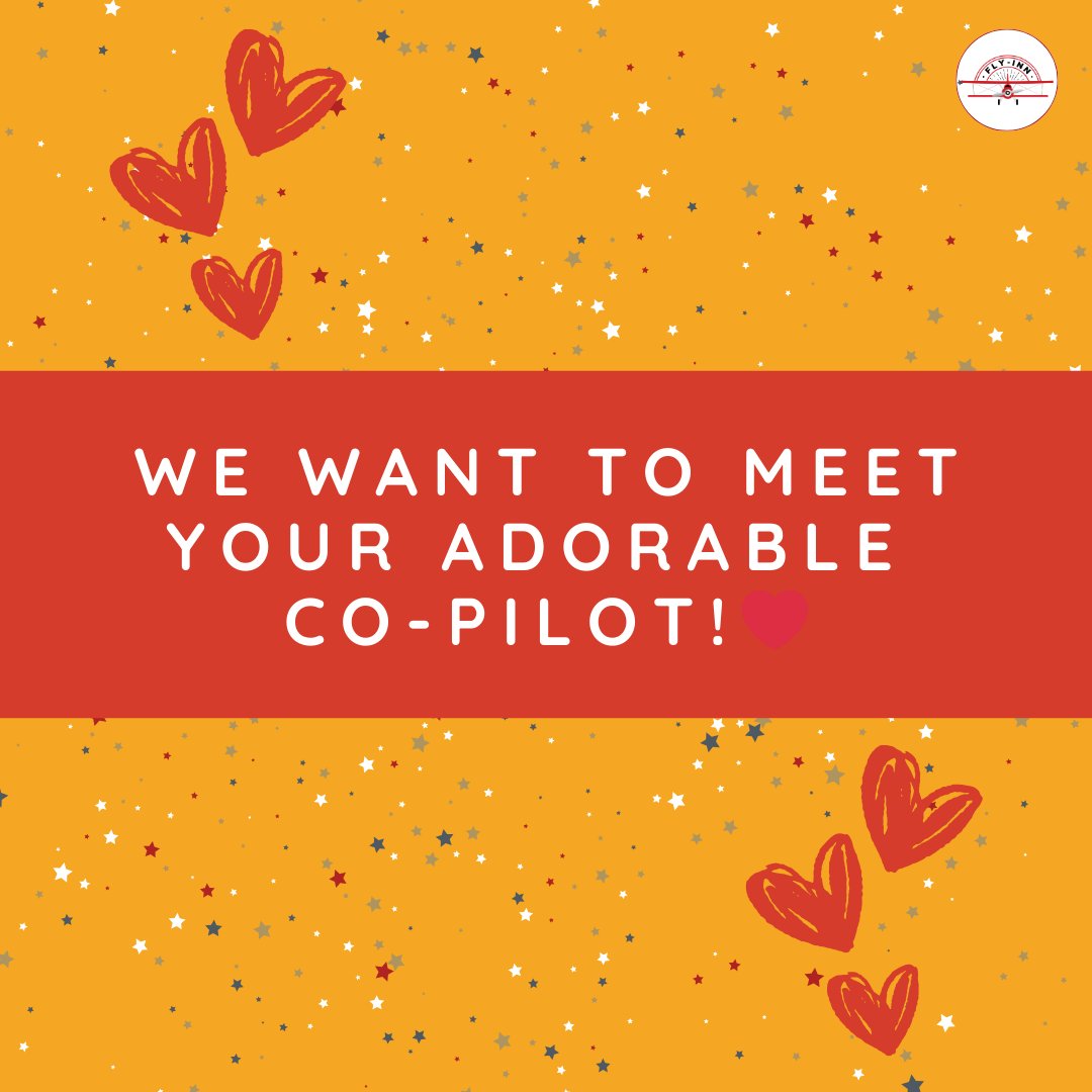 FlyInnLLC's tweet image. ✨ Comment below and tell us who you’d love to share your next adventure with. Whether it’s your furry friend, a loved one, or best travel buddy, let’s celebrate the ones who make every journey unforgettable. 🌍💫

#GeneralAviation #PrivateAviation #flyin #flyinn #ValentinesDay