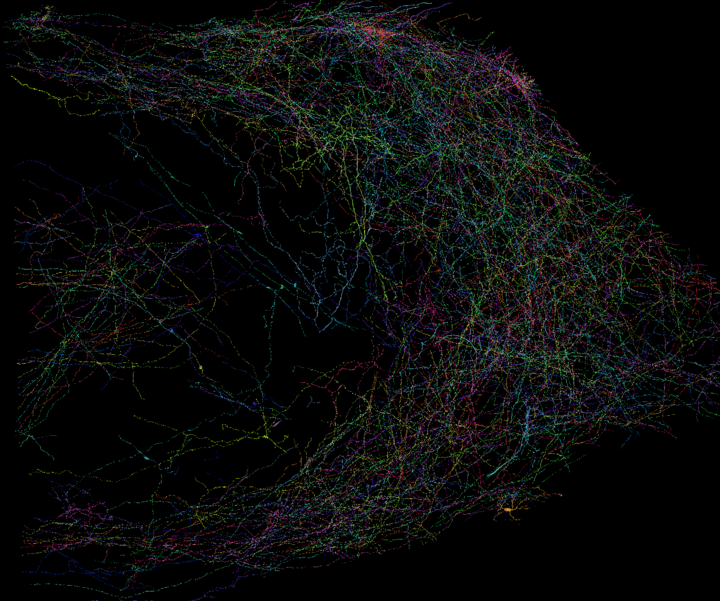 >1,000 axons presynaptic to CA3 spiny pyramidal neurons have been proofread by citizen scientists. pyr.ai