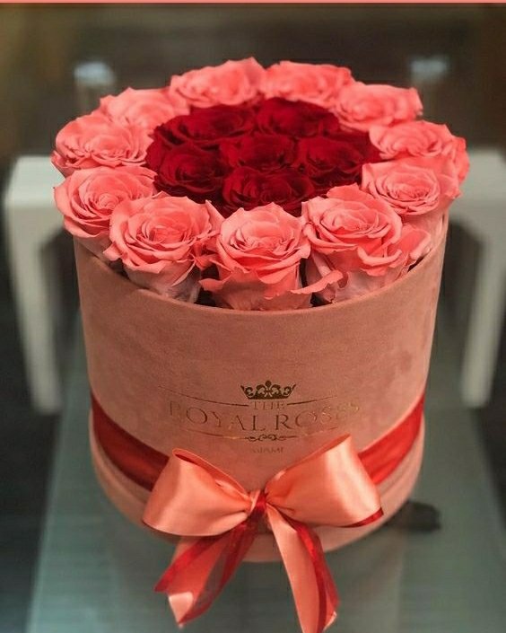 HumbleIndian's tweet photo. @Quinnqueens @nuvisionquestt3 @musfaca @yelarvel @suriyamaham @ManishP78396947 @nena_bovb51 @tripletsfan19 @sasha_stana @majd9757 @Jilliemary @AngelickaStrada @___B4U @jclockyer @Alana__28 @GFBS17 @MagDivina @jet_new @6tito6 Hello friends. Enjoy your day #Tmkin https://t.co/JvldUwoD8h