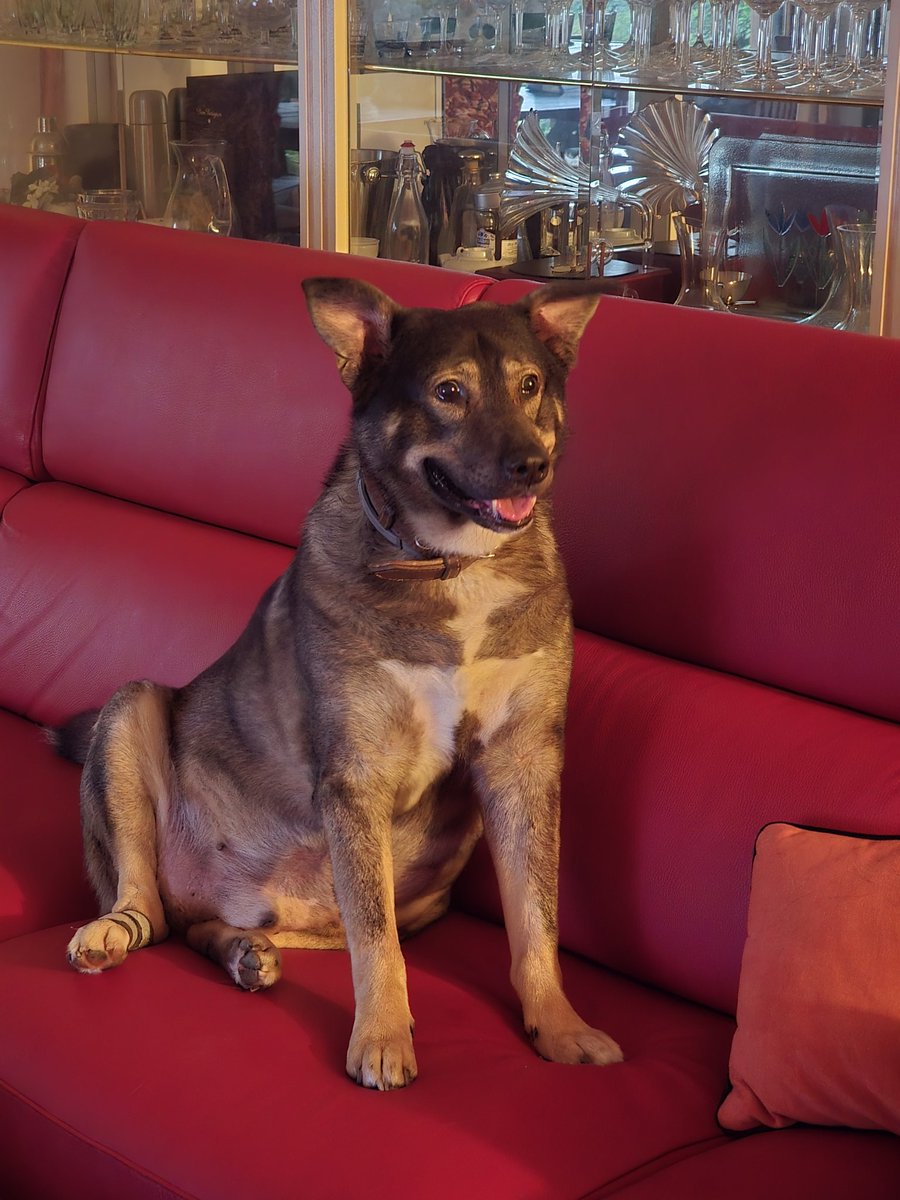 Io all'orale di matematica