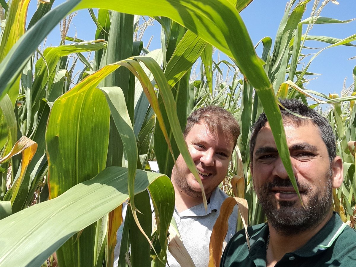 Mariano Martinez tweet media