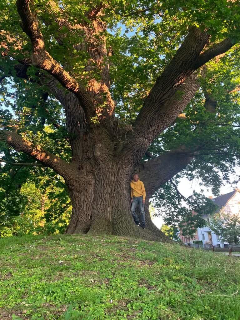 Lars van der Wal tweet media