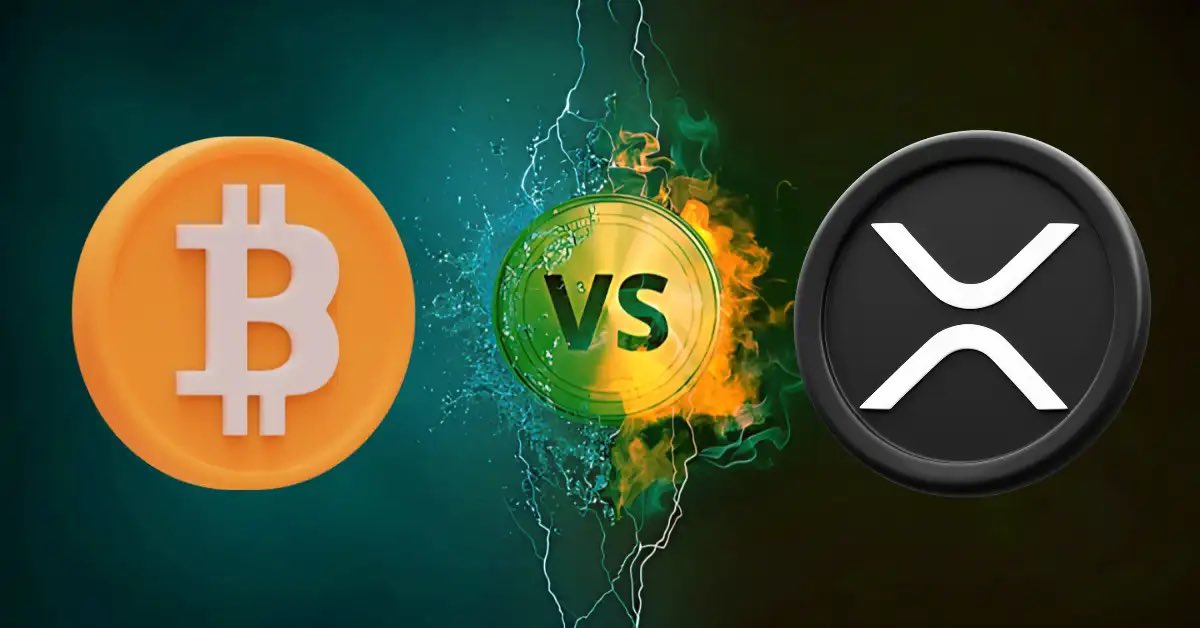 CryptoNews tweet media