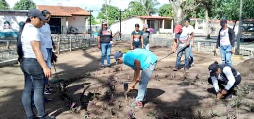 🔴⚫ Desde el Mpio. Santa Bárbara de Tapirín Edo. <a href="/MonagasMRT_/">MonagasRebeldeMRT</a>, las cuadrillas TUPA realizaron trabajo voluntario de embellecimiento en la Plaza Bolívar. Esta labor se realiza de la mano de nuestra Alcaldesa TUPAMARO <a href="/CTilleroMRT_/">Carmen Tillero</a> .

#TupamaroJuróConNicolas
