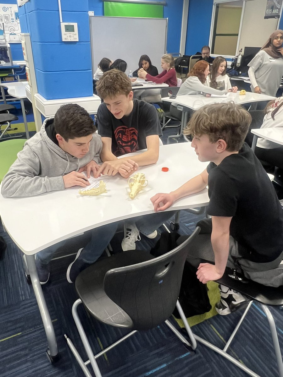 Demetra kouspos tweet media