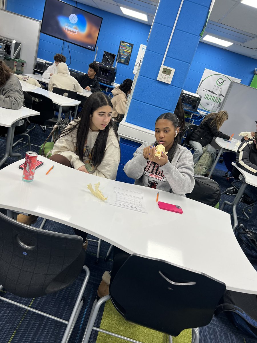 Demetra kouspos tweet media