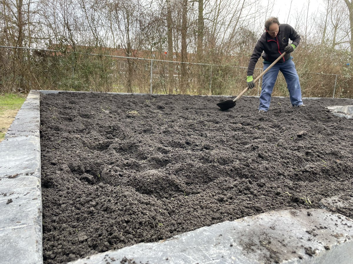 Day 2 of our Growing Roots Project: From the tiniest seed to the tallest plant, every part of the journey is so exciting and we can’t wait to see how it all comes together in just five days. The excitement of watching everything come together is definitely real.