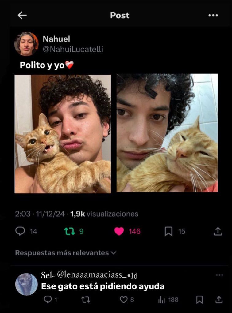 🧉. (@shitpostnahui) on Twitter photo 