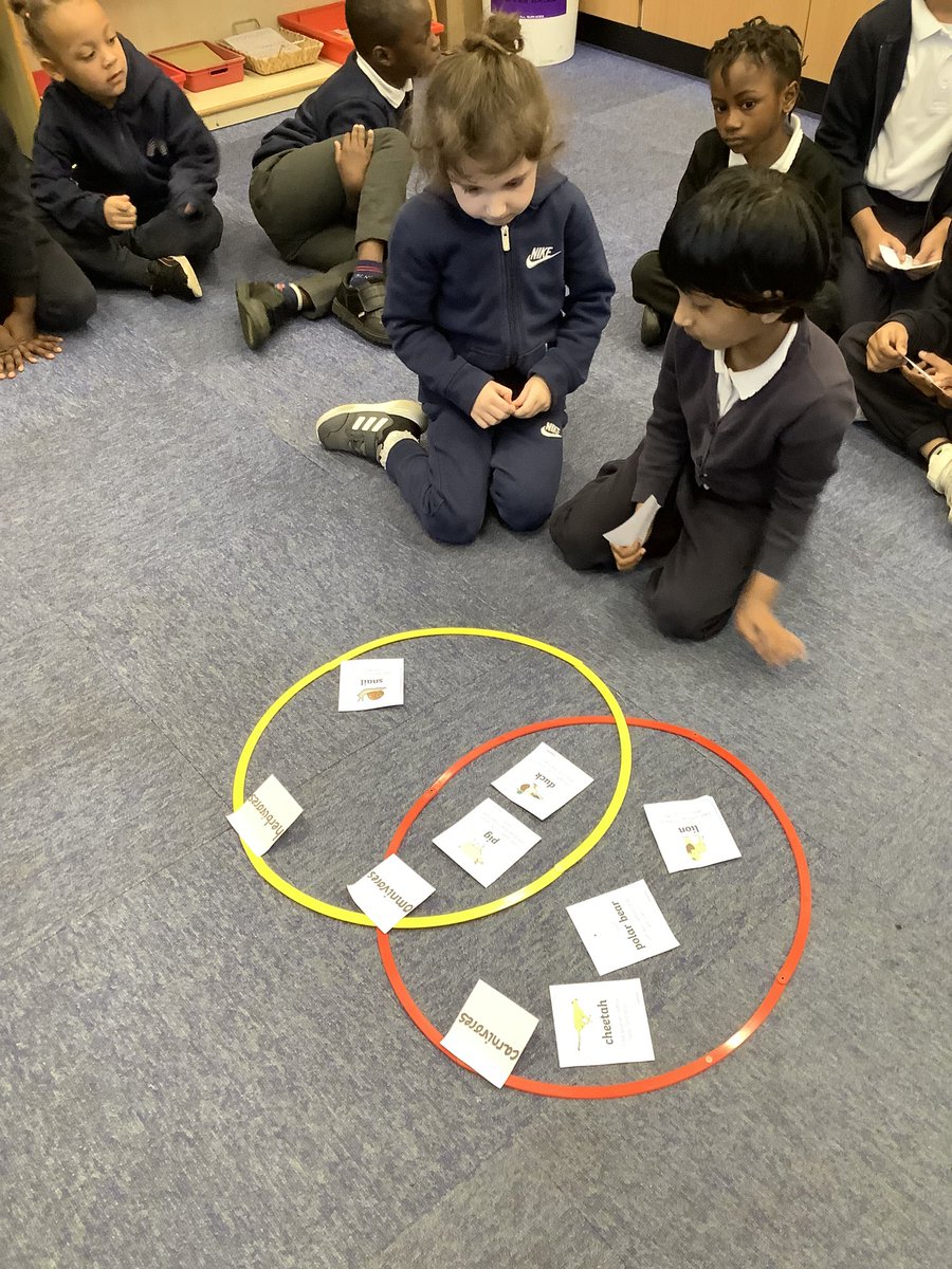 PindersPrimary's tweet photo. We have been learning about what animals eat in Year 1. We sorted animals into whether they are carnivores, herbivores or omnivores. We have also learnt about food chains and drew some of our own. #PPScience https://t.co/G3cVo2R25H