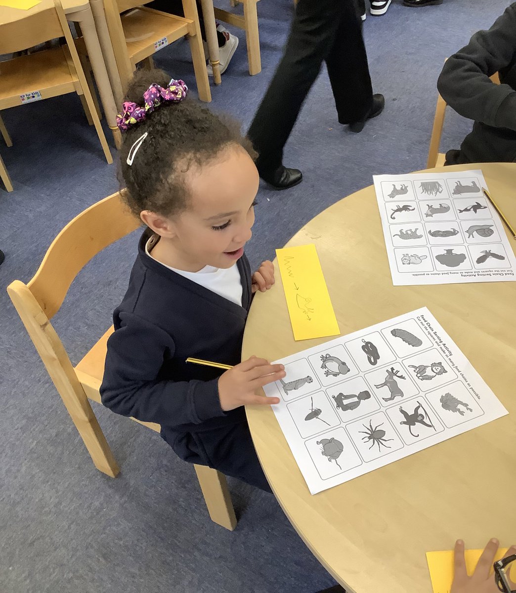 PindersPrimary's tweet photo. We have been learning about what animals eat in Year 1. We sorted animals into whether they are carnivores, herbivores or omnivores. We have also learnt about food chains and drew some of our own. #PPScience https://t.co/G3cVo2R25H