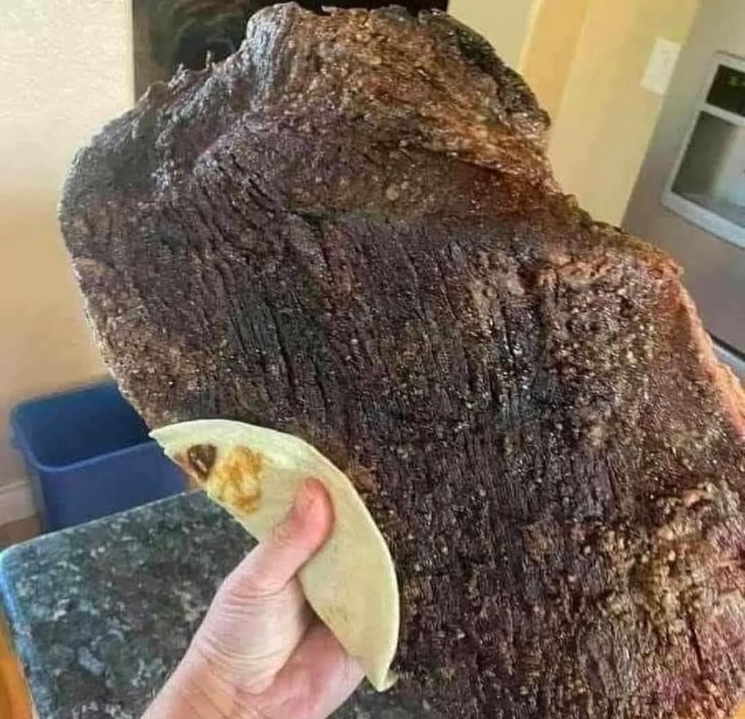 ✨️Afternoon vibes✨️

Happy Taco Tuesday 🌮