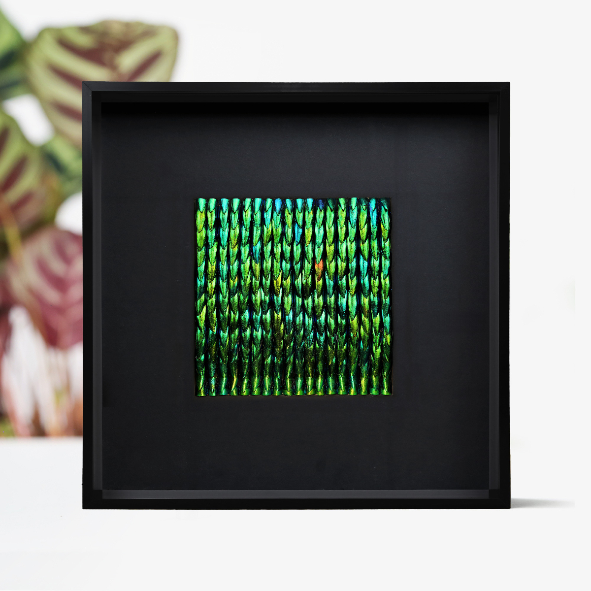 CuratedStudio tweet media