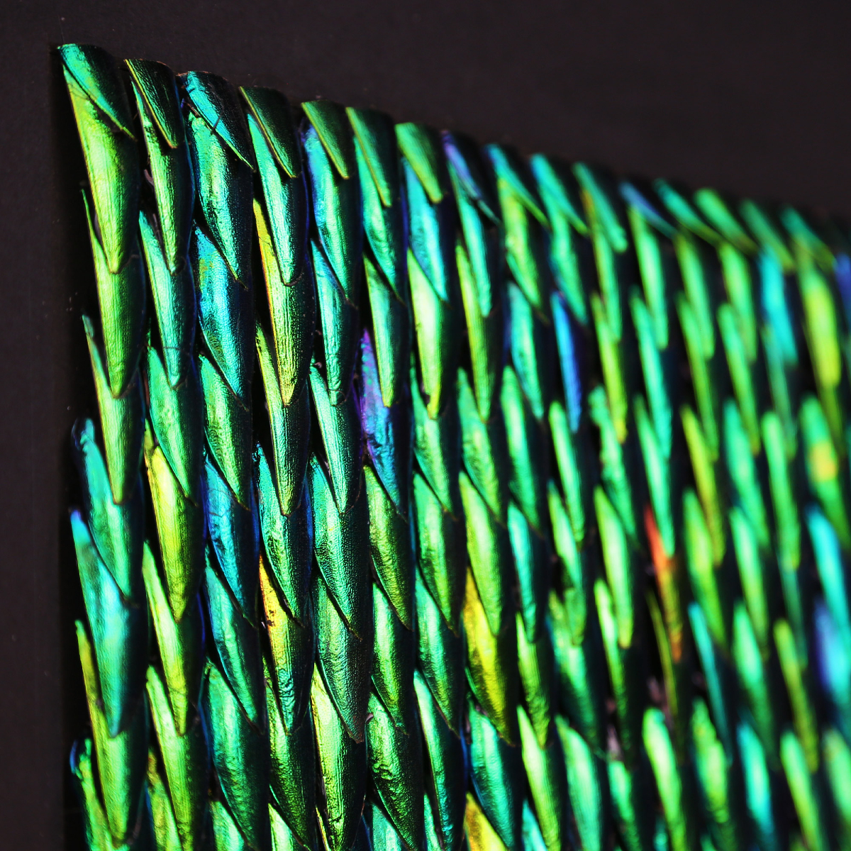 CuratedStudio tweet media