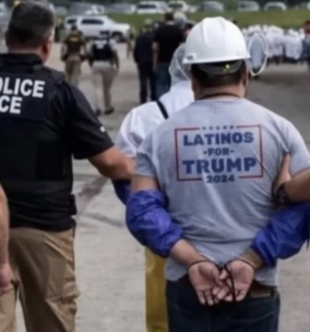 Baratas pelo detefon 🤝