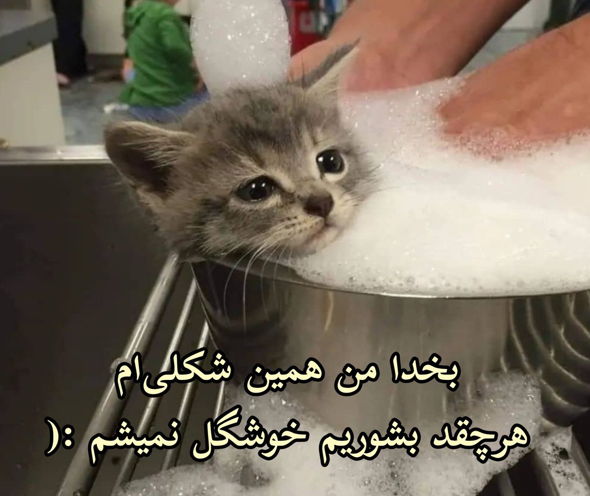 Zahra (@saintzahra) on Twitter photo 