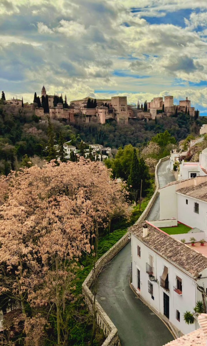 Para nacer, vivir y morir. 
#Granada #Graná 💫