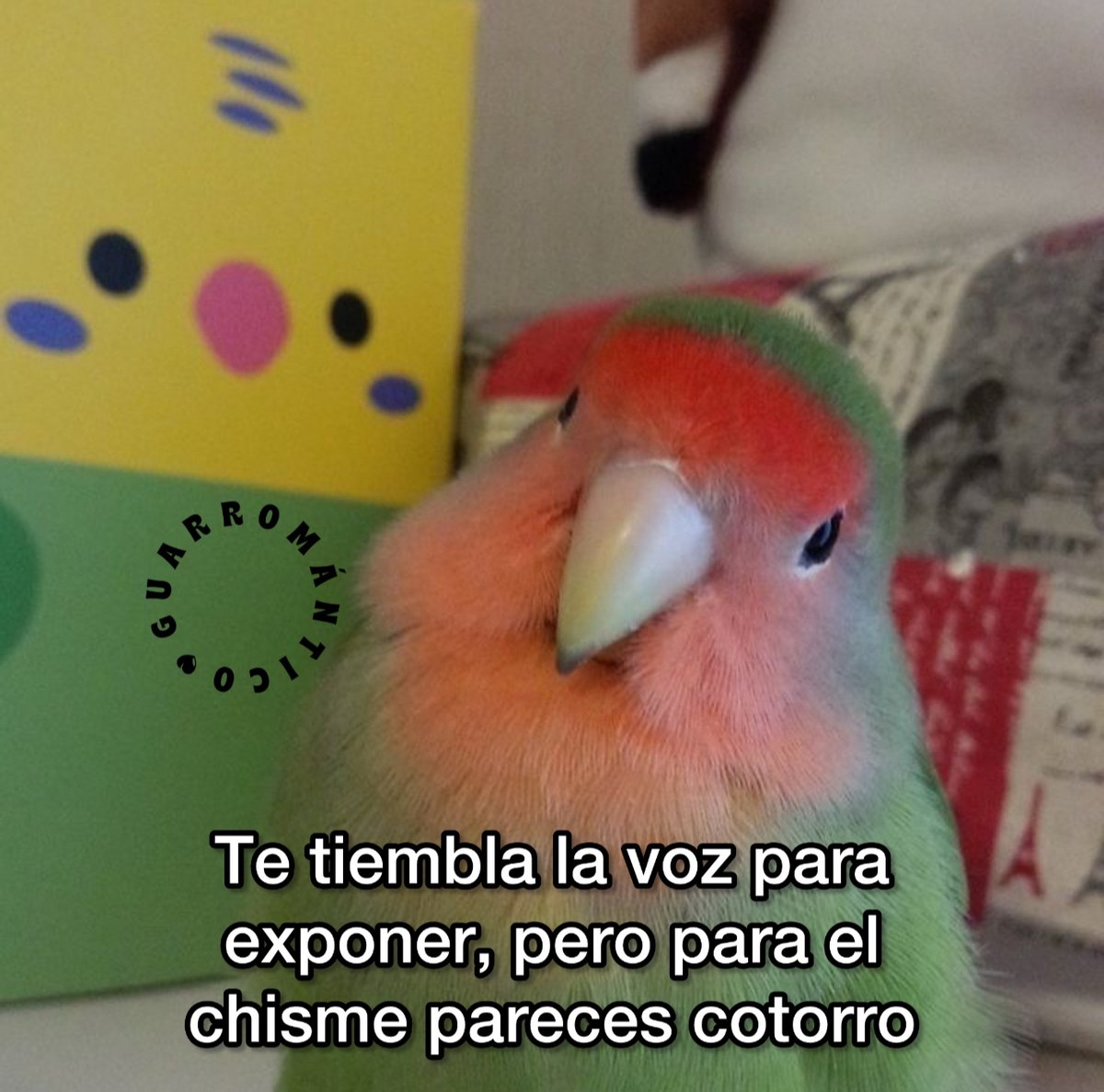 Ni quien los pare.