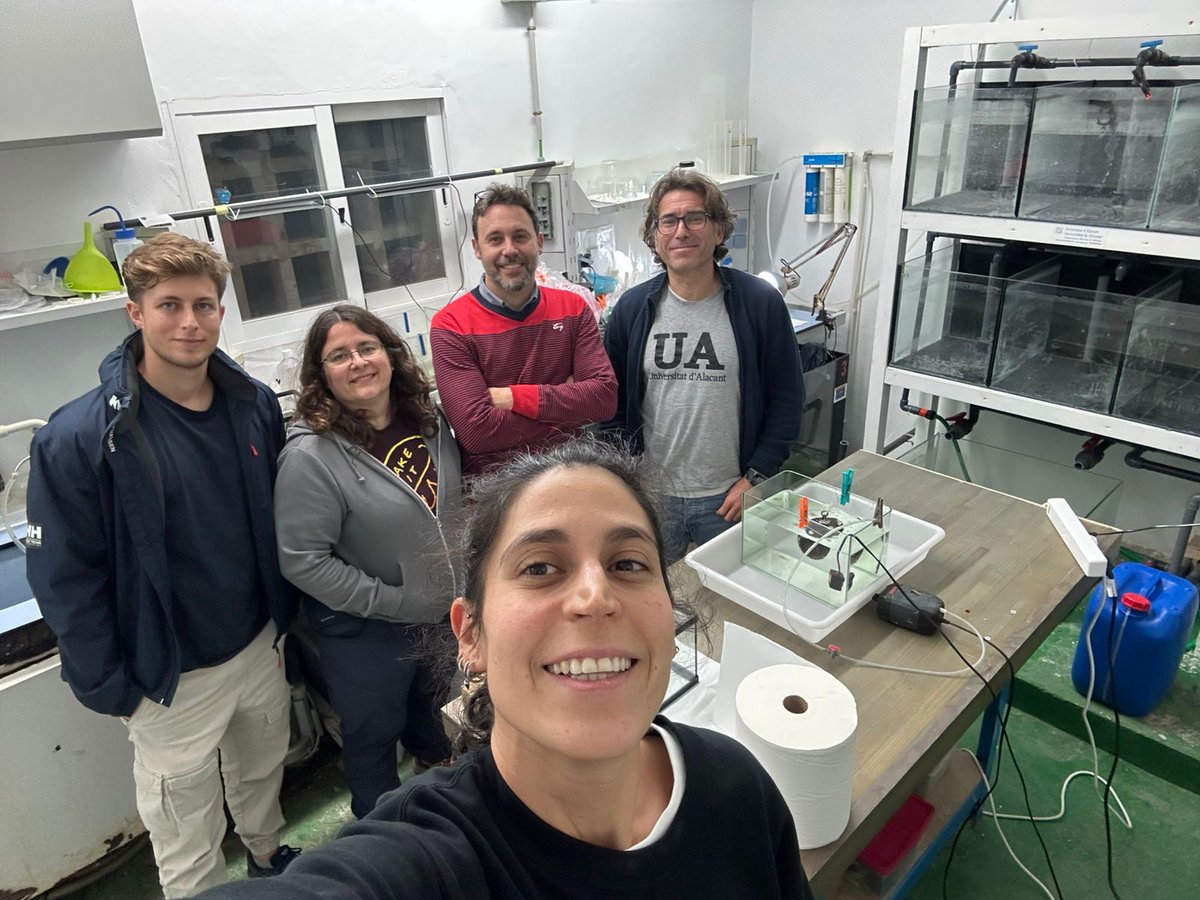 Esta semana hemos tenido la visita de los investigadores Agustín Camacho d @uammadrid y Jimena García de la <a href="/tohoku_uni/">ゆうちゃそ</a>, con los que estamos empezando un proyecto sobre #cnidarios #cambioclimático, en colaboración con @oceanografic_vl. 

@ua_universidad @ciencias_ua @uadivulga