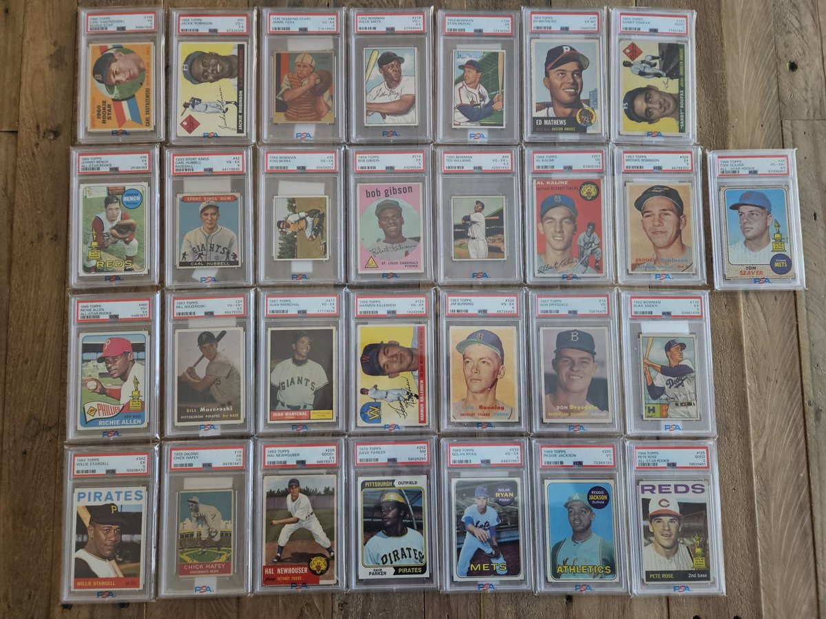 SolidariTree🌲🏞 tweet media