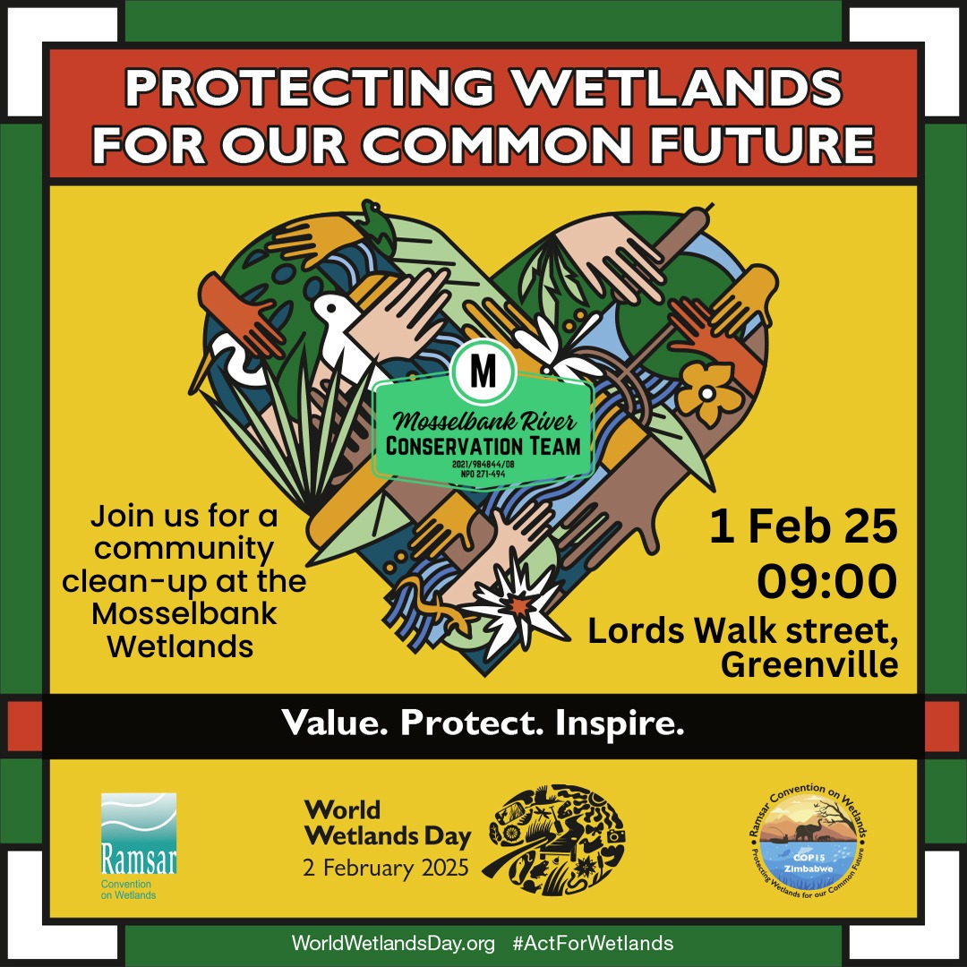 Join us Saturday for a community clean-up and alien hack as we celebrate World Wetlands Day with the theme "Protecting Wetlands for our common future"! Meet at the green container on Lords Walk Street, Greenville. Please wear closed shoes and bring lots of water!