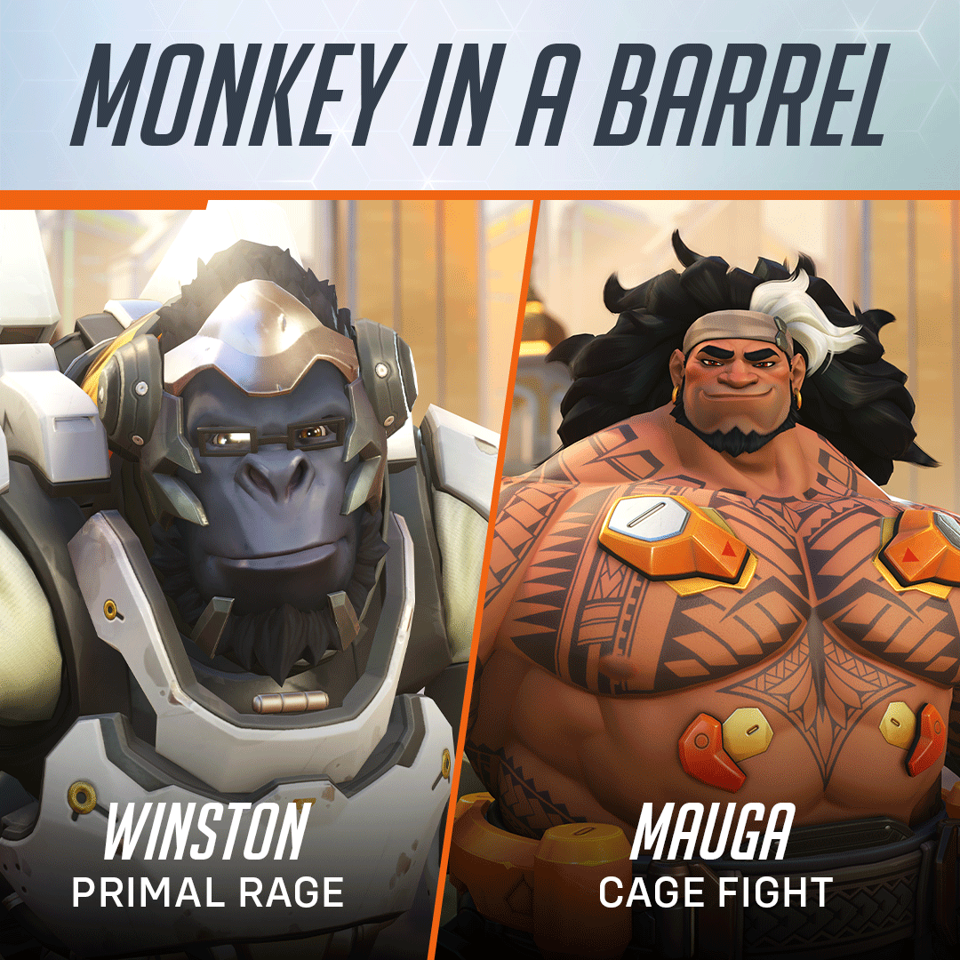 Overwatch tweet media