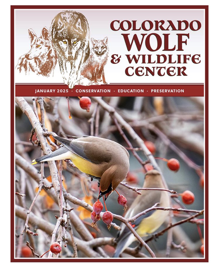 SamanthasLaw's tweet image. #CWWC 
wolfeducation.org