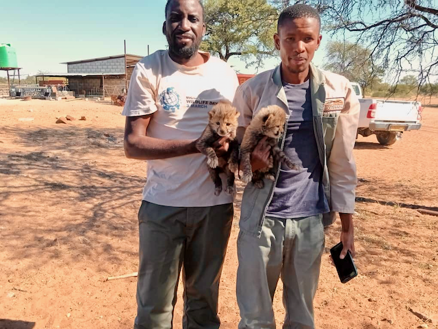 Wildlife Conservation Network tweet media