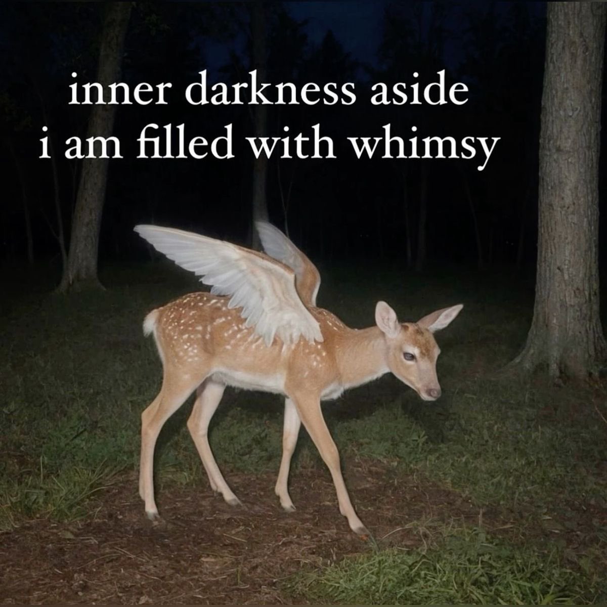 ︎ ︎ ︎ ︎ ︎ ︎ ︎ ︎ ︎ ︎ ︎ ︎ ︎ ︎ ︎ ︎ ︎ ︎ ︎ ︎ ︎ ︎ ︎ ︎ ︎ ︎ ︎ ︎ ︎ ︎ ︎ ︎ ︎ ︎ ︎ ︎ ︎
