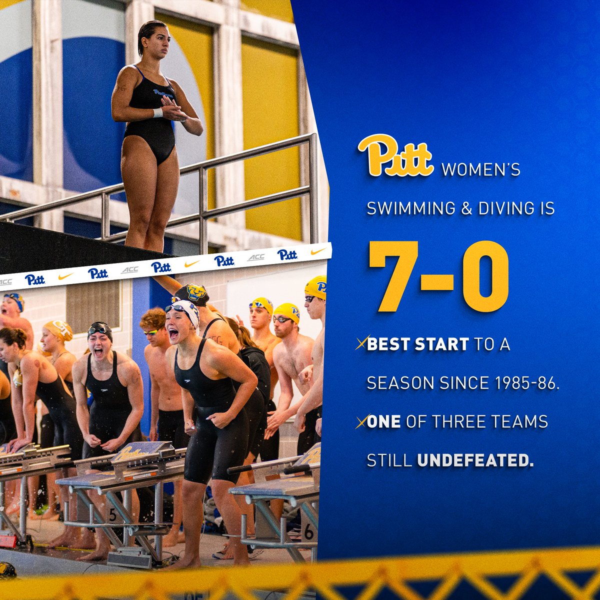 Pitt_SWIM_DIVE's tweet photo. One of only three undefeated teams in the country 🔵🟡

Best start since 1985-86 🔥🔥

Let’s go, ladies 👏👏

#H2P x #H2oP https://t.co/XyVMDGpvJn