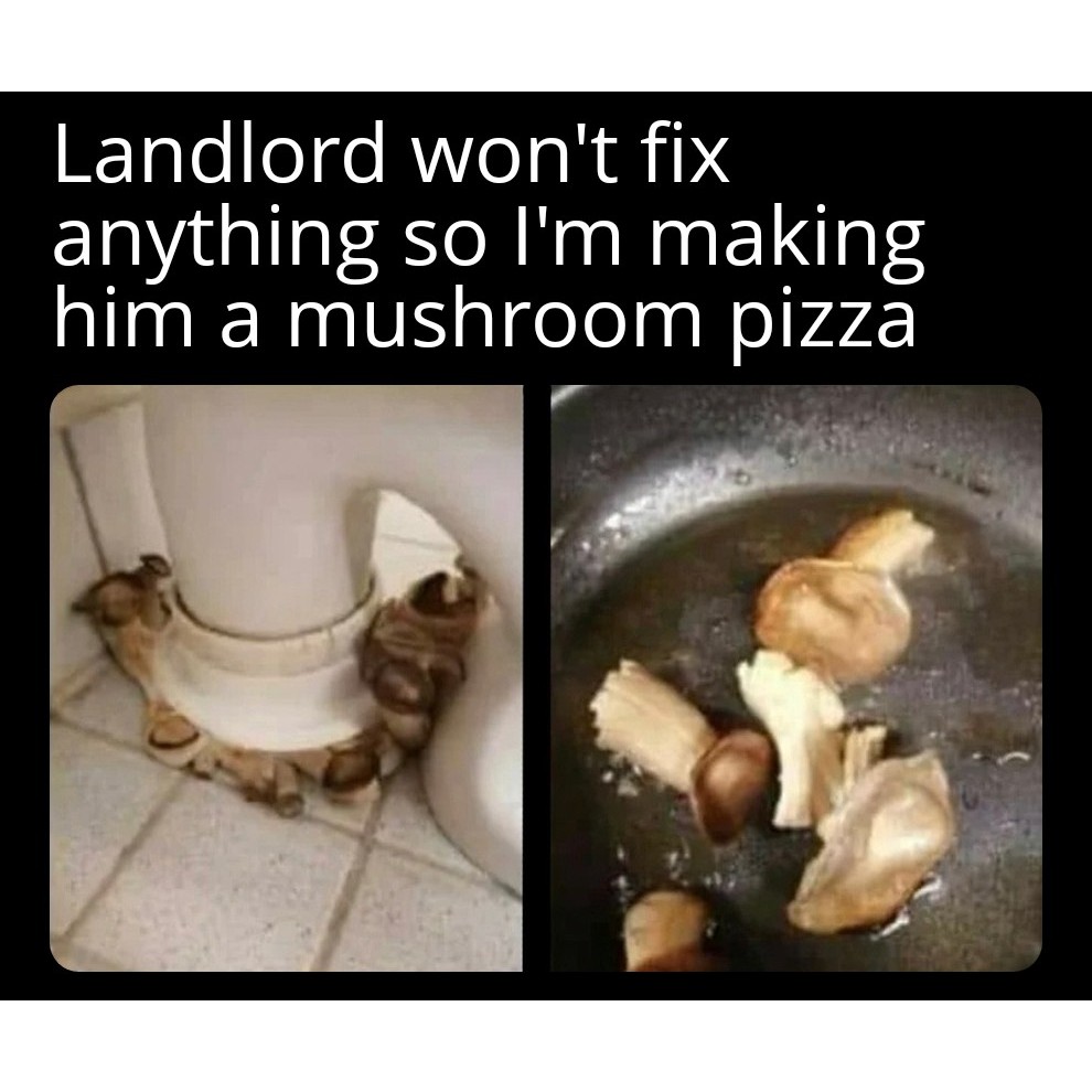 See, just being nice doesn't cost anything. #landlords