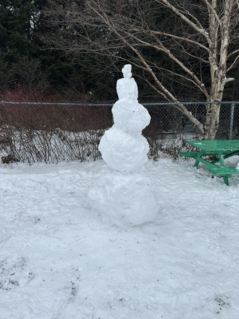 pilgrimjwp's tweet photo. It is Literacy Week and today, the snow was indeed, perfect snow person making snow!!! So that is what we did! @AllHallowsE #literacyweek https://t.co/0oObfaiVx8