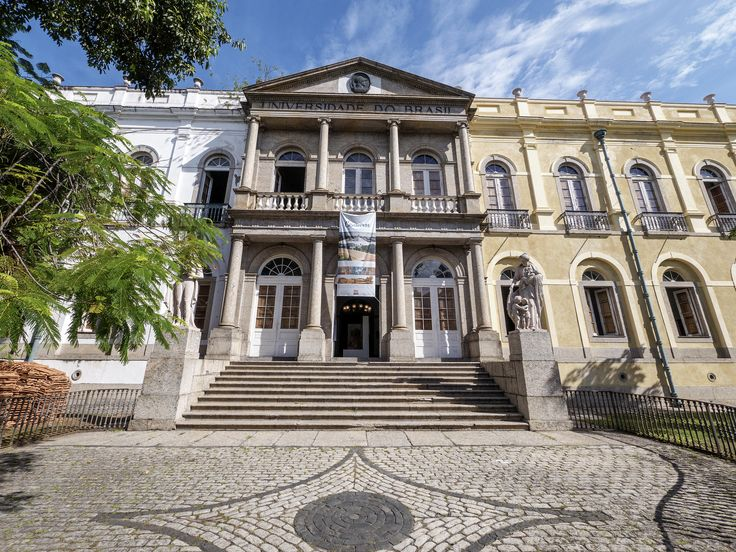 ttliterario's tweet photo. 10 livros que se passam em faculdades brasileiras reais  🇧🇷 https://t.co/oUiRzO9wpN