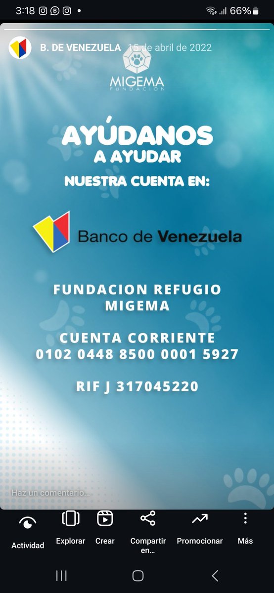 Fundacion Migema (@refugiomigema) on Twitter photo 