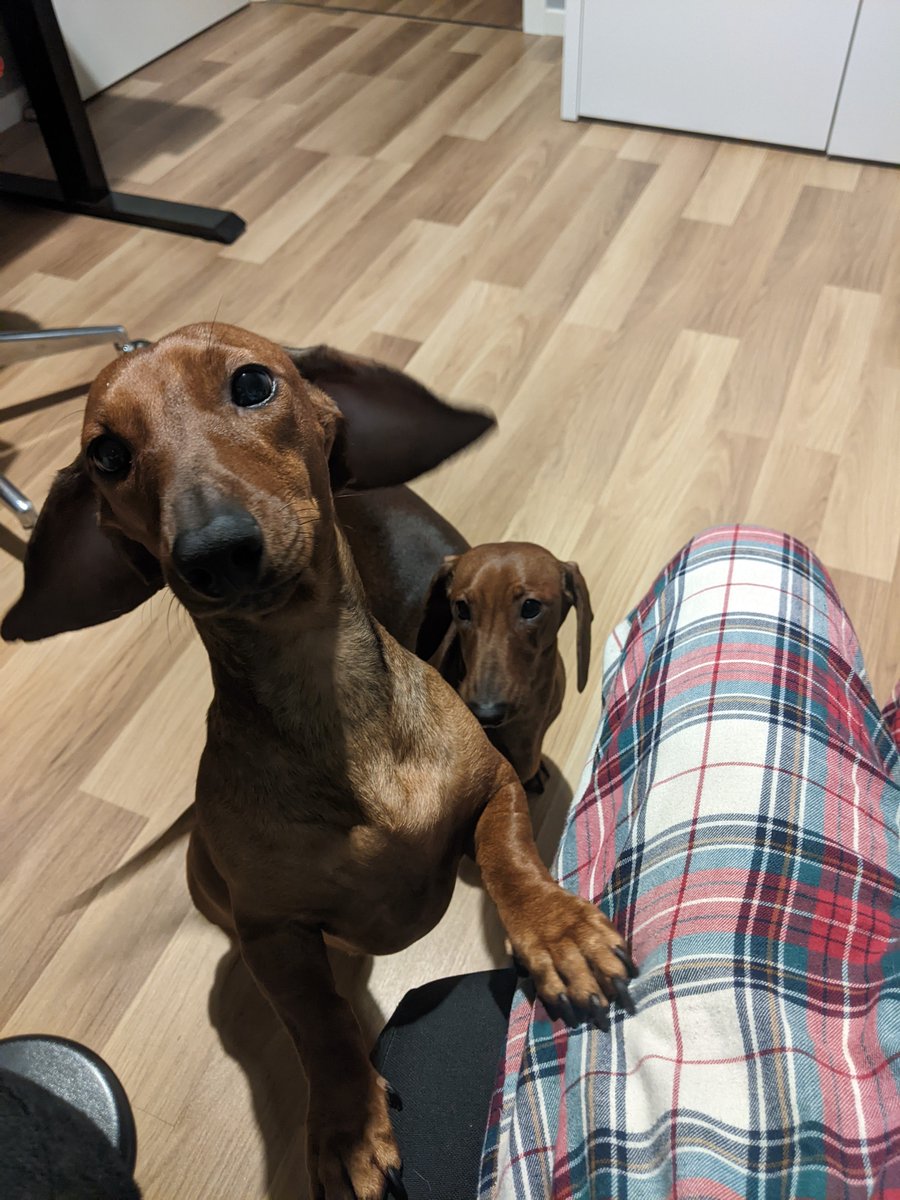 вирус эпштейна-барр tweet media